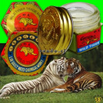Čínska liečivá masť Wild Tiger