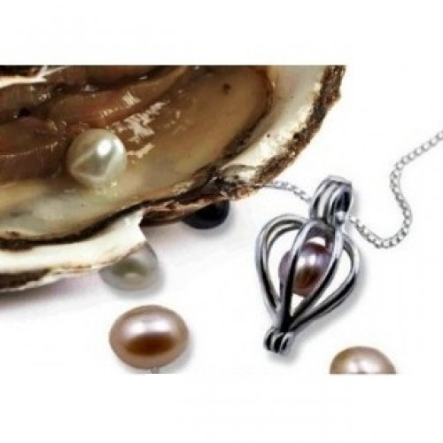 Perla prianí v perlorodke - náhrdelník