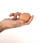 Skákajúce vajíčko